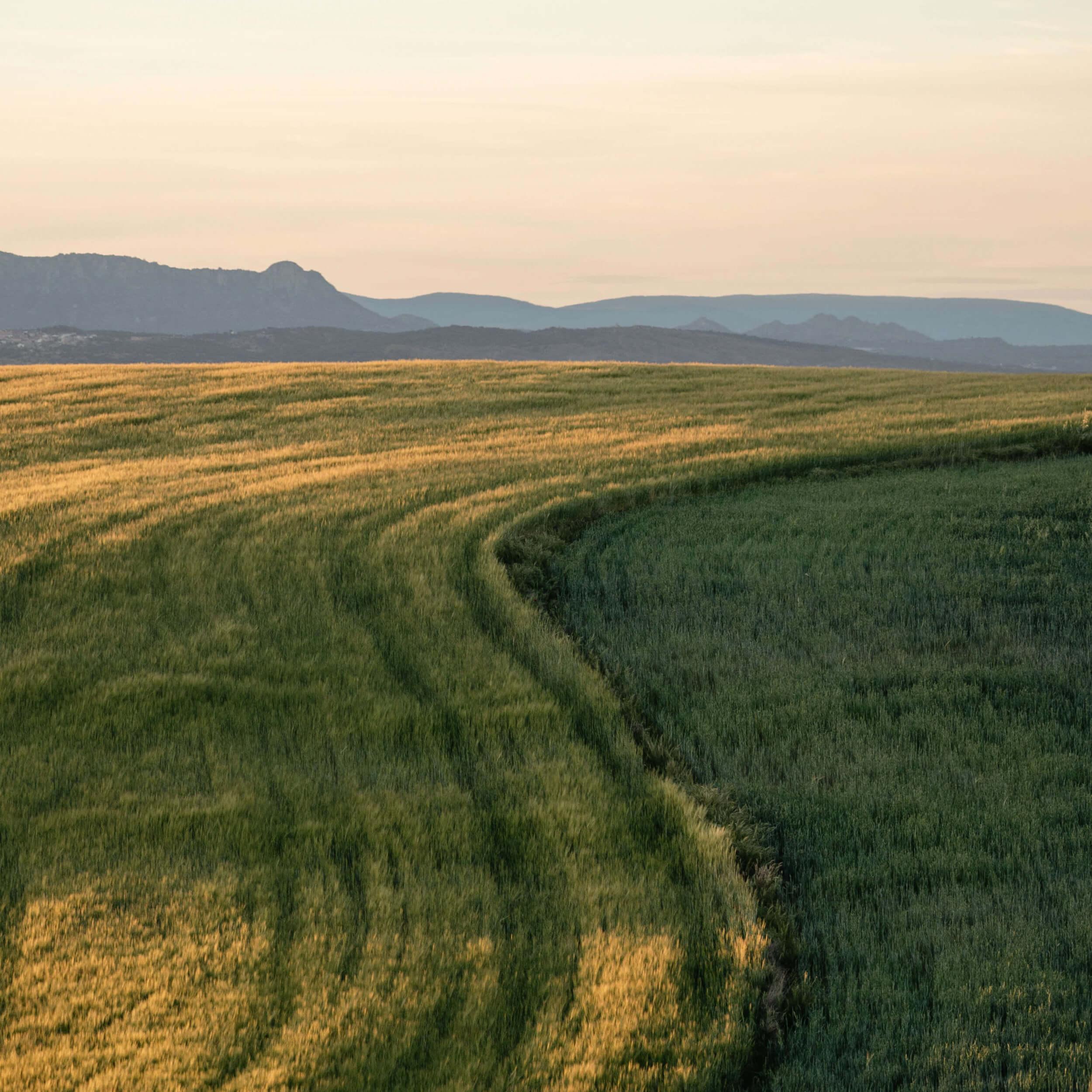 Roderus Landwirtschaft 05