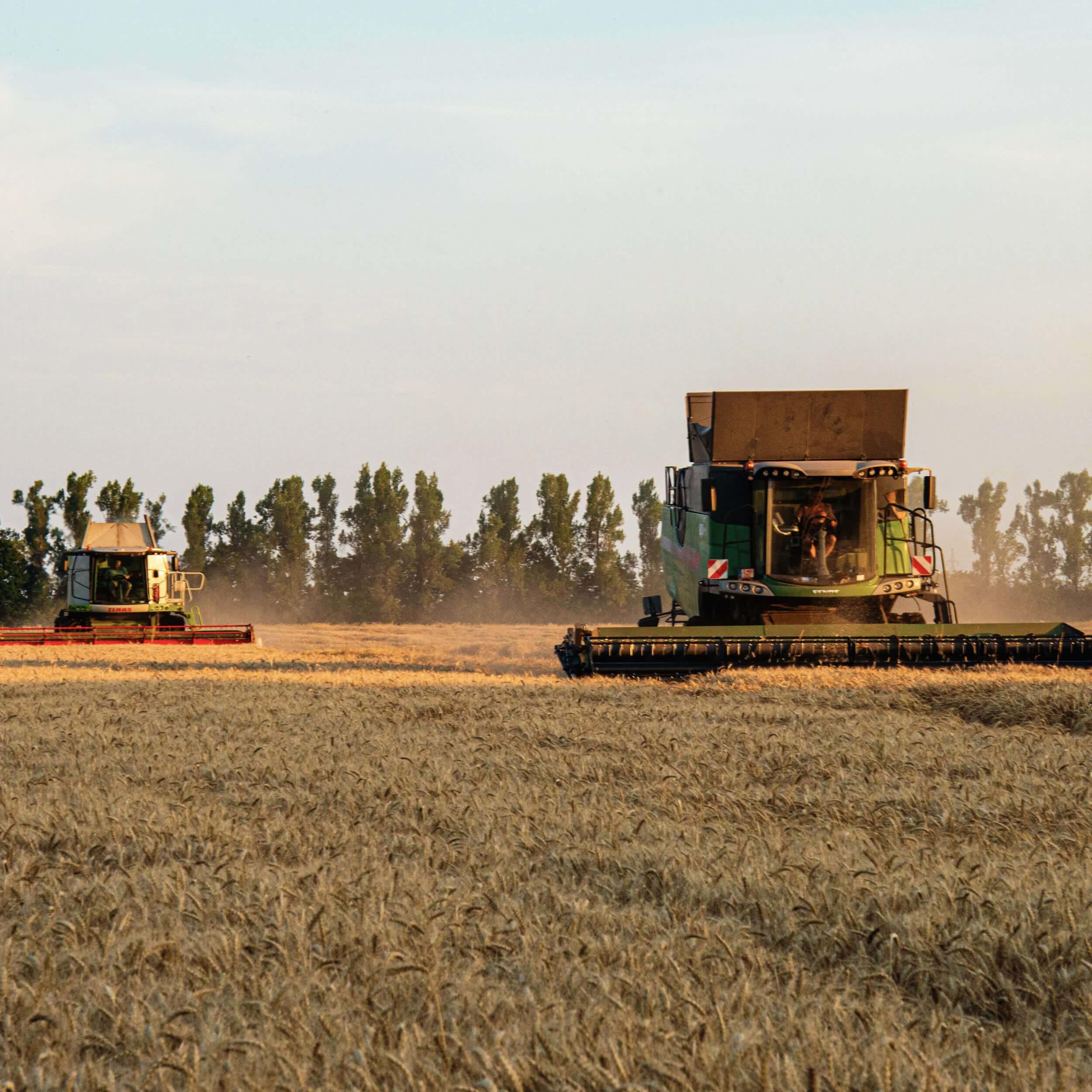 Roderus Landwirtschaft 06